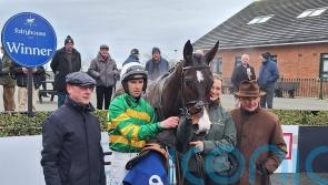 Mullins ‘very pleased’ with Majborough jumping display