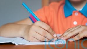 Education Secretary says proposed new law ‘seminal moment for child protection’