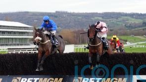 Williams may look to step Libberty Hunter up in class