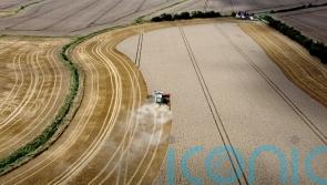 Tackling climate change alone could harm nature and water crises, experts say