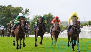 Elliott has faith in ‘improving’ Ascot contender The Wallpark