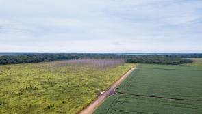 ‘Fundamental change’ to nature-harming industries needed, UN report warns