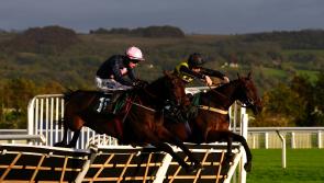Impero team full of hope for four-timer bid at Ascot