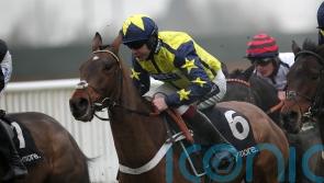 Tommy Whittle chance for Surrey Quest this weekend