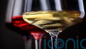 8 must-try wines which left a lasting impression this year