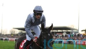 French raider Il Est Francais ready to go for King George challenge