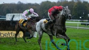 Skelton sees Grey Dawning as ticking plenty of King George boxes
