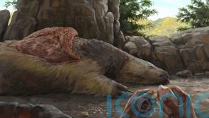 Giant sloths and mastodons lived with humans for millennia, research suggests