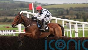 Ballyburn and Sir Gino could clash over fences at Kempton