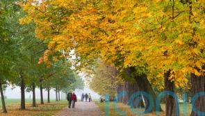 Final grants for pubs, pools and parks announced under community ownership fund