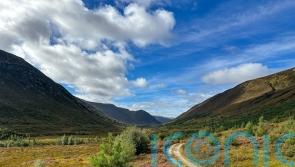 Nature restoration in Highlands facing long-term challenges, communities warn