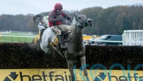 Big guns stand ground among bumper field for King George crown