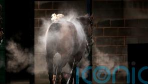 No rest for racing folk at Christmas, but festive spirit still prevails