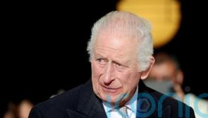 King to hail healthcare workers and communities in Christmas address – reports