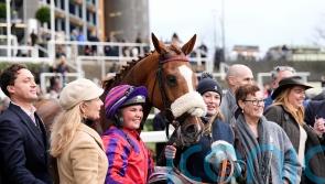 Racehorse dubbed country’s unluckiest finally wins after appeal for royal luck