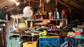 The best ways to declutter your garden shed for New Year