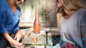 5 non-alcoholic sparklers to put some shine into Dry January
