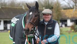 Altior ‘has the life of Riley’ in retirement with Mick Fitzgerald