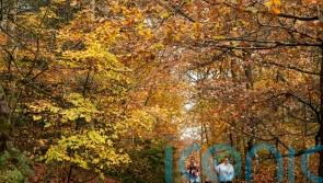 Campaigners hail move to ditch 2031 cut-off date for recording historic paths