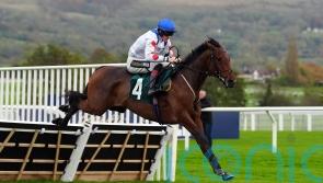 Potters charm offensive pays off with Grade One strike