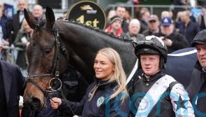 Romeo Coolio leads home Elliott one-two at Leopardstown
