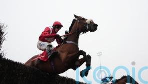 Soul Icon secures top spot in Desert Orchid Chase