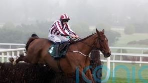 Jeannot Lapin produces 150-1 shock at Leopardstown