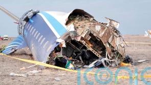 Azerbaijani minister suggests plane that crashed was hit by weapon