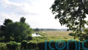Three quarters of precious habitats and wildlife unmonitored in past five years