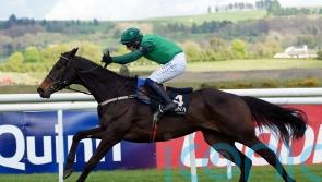 Impaire Et Passe impresses in ‘special’ Limerick victory for Jacob
