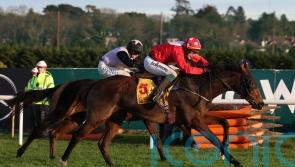 Home By The Lee continues ‘dream’ run for Joseph O’Brien