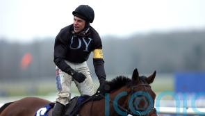 The New Lion roars in brilliant Challow performance