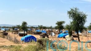Hunger crisis could kill more people in Sudan than civil war violence – charity