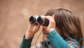 Help the kids make the most of Big Schools’ Birdwatch