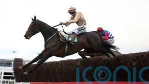 Broadway Boy looking to take leading role at Cheltenham again