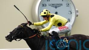 Royal Champion back with a bang after stint in Australia
