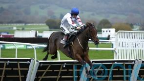 Next stop Cheltenham Festival for hot prospect Potters Charm