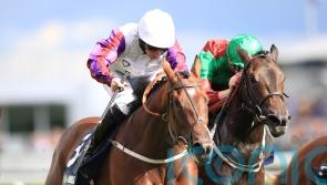 First Ambition will bid to uphold family honour at Newcastle