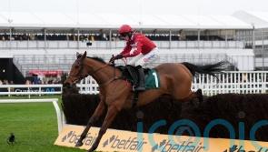 Kalif Du Berlais impresses with Cheltenham strike