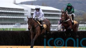 Springwell Bay stars for the O’Neill team at Cheltenham