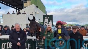 Embassy Gardens too good for Monty’s Star in Tramore feature