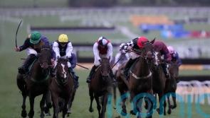 Precious victory for Henrietta Knight at Cheltenham