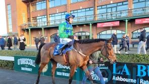 Champ Kiely starts chasing career in style at Fairyhouse
