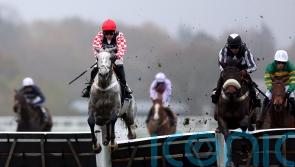 Tizzard plotting Festival route for Western Knight