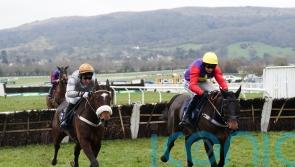 Leenders considering Aintree aim for Gold Tweet