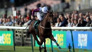 First Ambition gets Laurens off the mark as broodmare