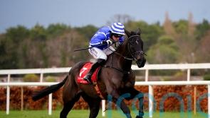Ile Atlantique carrying high hopes on second chasing start