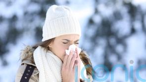 The best ways to boost your immune system as cold temperatures hit