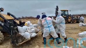 Emergency declared in Crimea as oil spill reaches Sevastopol