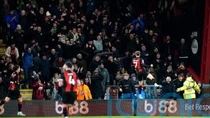 David Brooks nets winner as Bournemouth sink toothless Everton